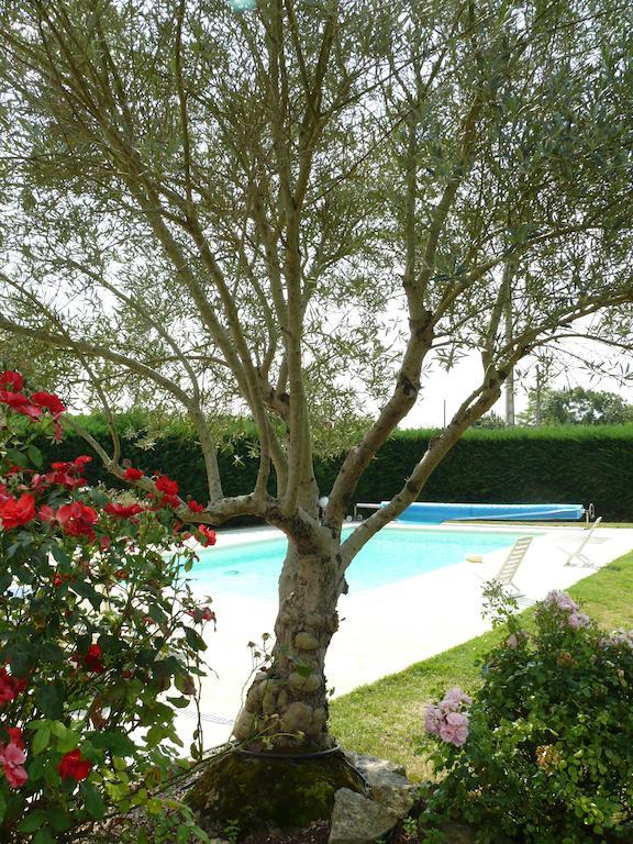 Le Clos De La Vigne Montreuil  Экстерьер фото